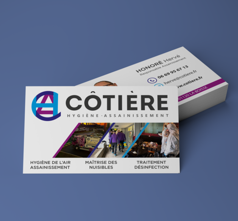 mockup carte de visite La Boisse 