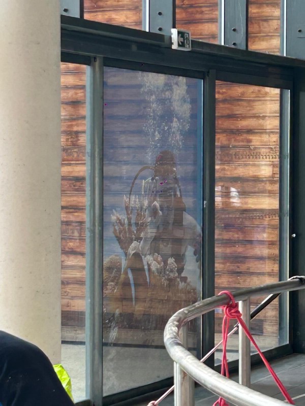 Microperforé sur vitres