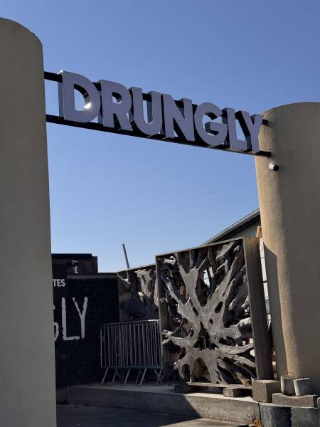 Une enseigne lumineuse de haute qualité pour le DRUNGLY à Pusignan près de Lyon