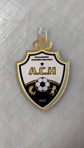 Médaillons pour un club de foot à Heyrieux 38